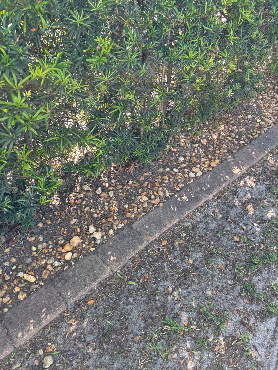 Lawn Maintenance for Space Coast Property Maintenance and Management LLC in Melbourne, FL