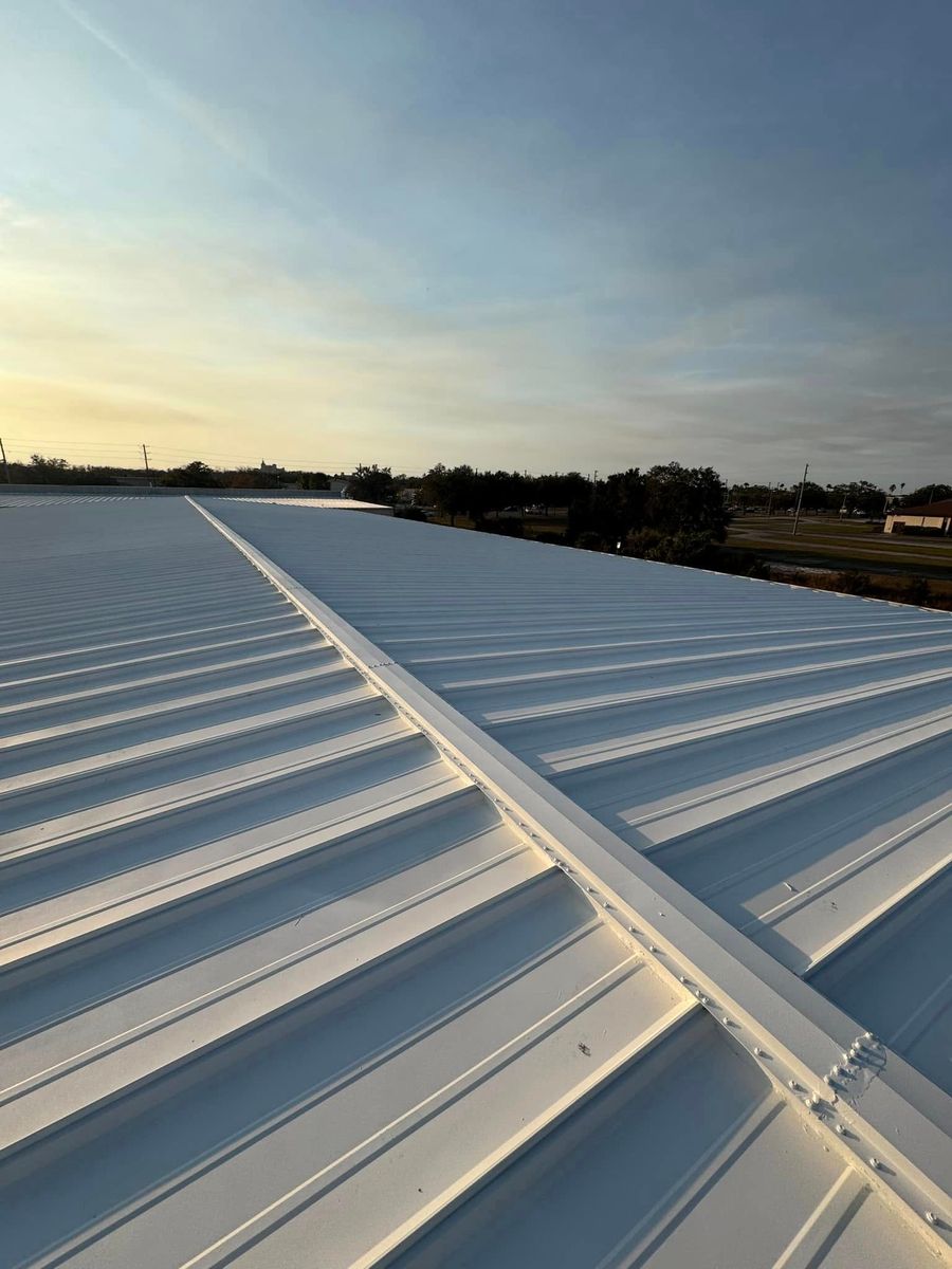 Metal Roofing for Joel's Local Handyman Services in Clermont, FL