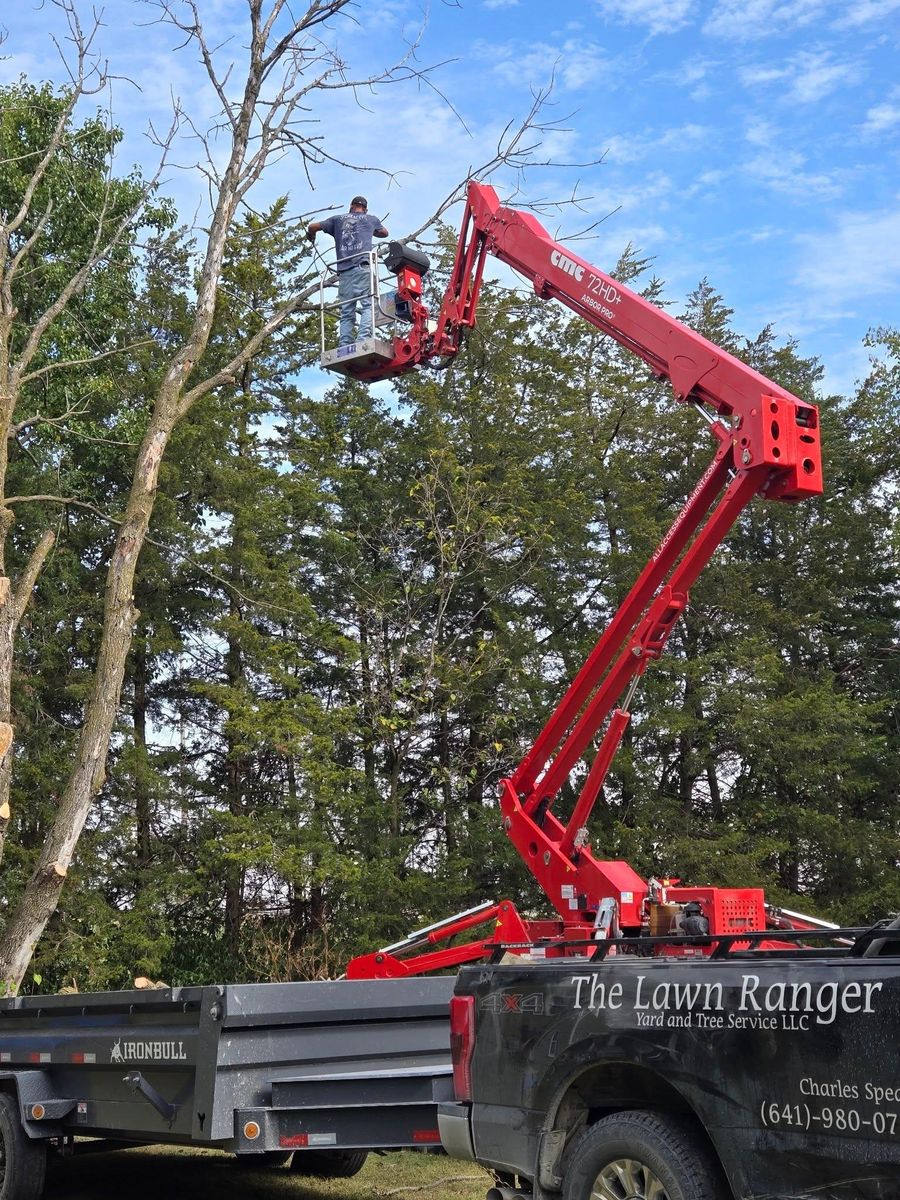 Tree Removal for Lawn Ranger Yard And Tree Service LLC in Ottumwa, IA