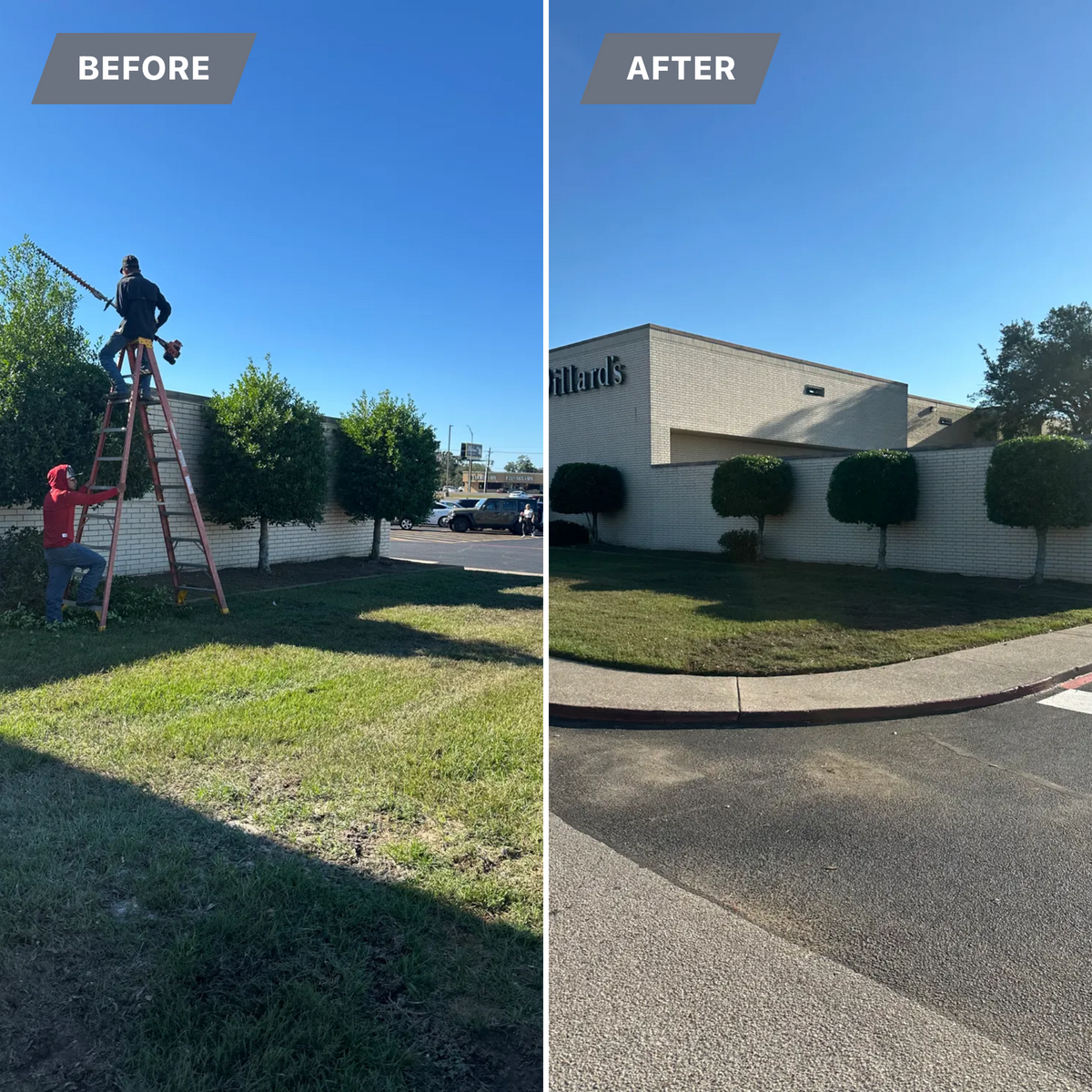 Trimming for C&R Landscaping LLC in Beaumont, TX