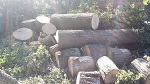 Brush Removal for Barricades  in Greenville, SC