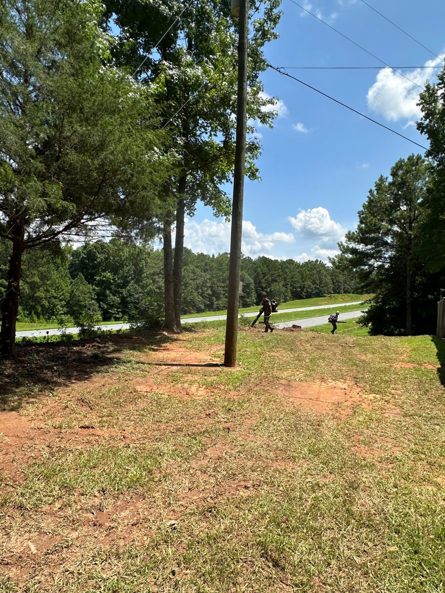 Tree Trimming for ArborMax in Thomaston, GA