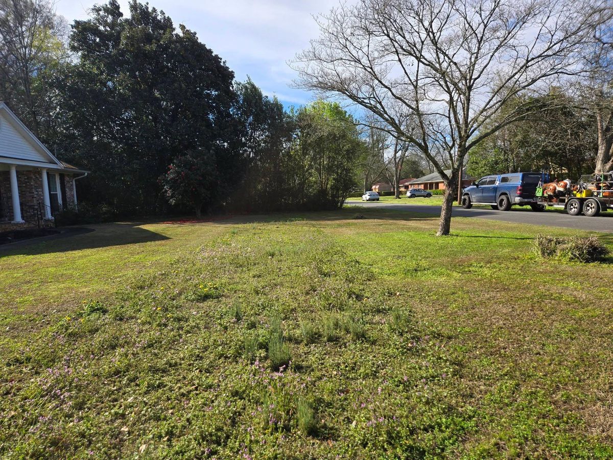 Fall Clean Up for Zepeda's Mowing in Fort Valley, GA