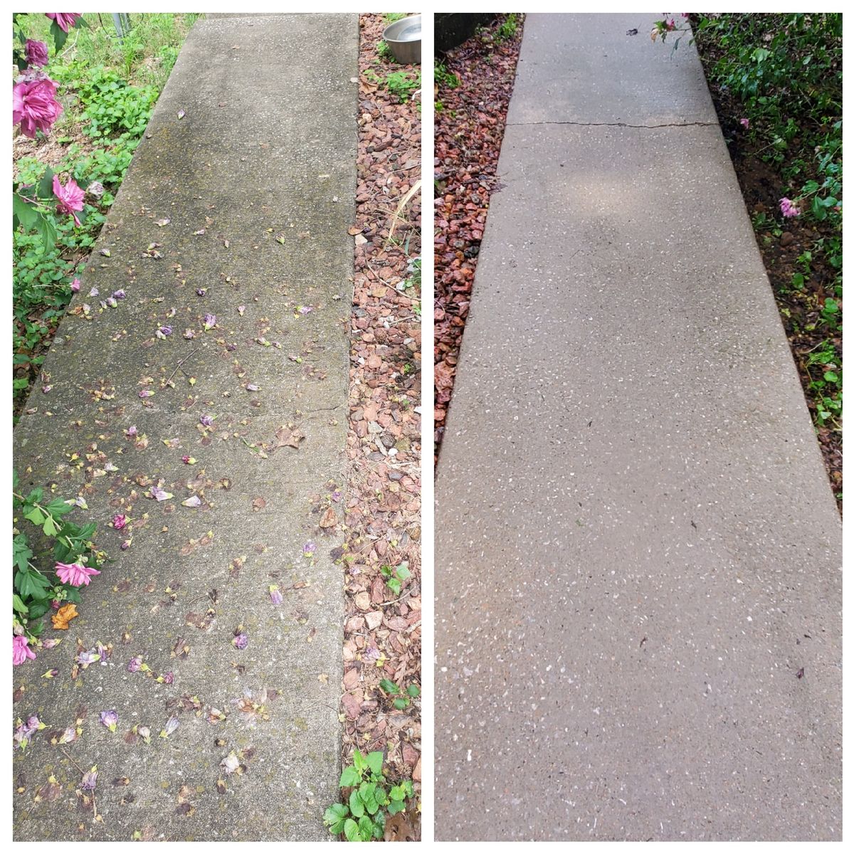 Concrete Cleaning for Shoals Pressure Washing in North Alabama, 