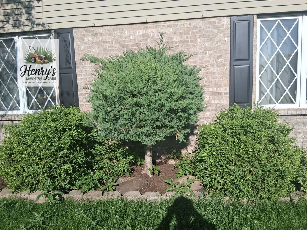 Shrub Trimming for Henry's Lawn Care in Rockford, IL