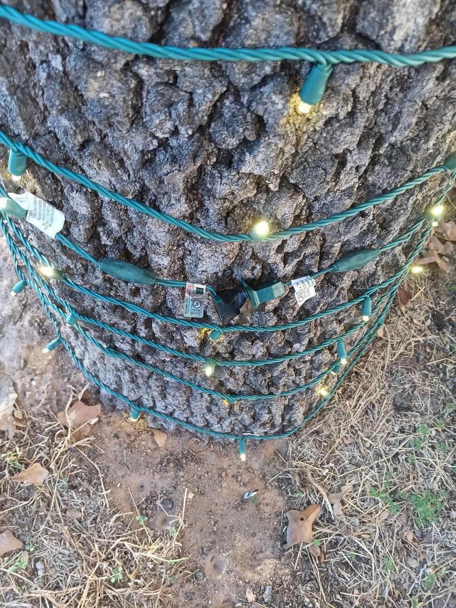 Christmas Light Installation for Xtreme Clean Plus in Fredericksburg, TX