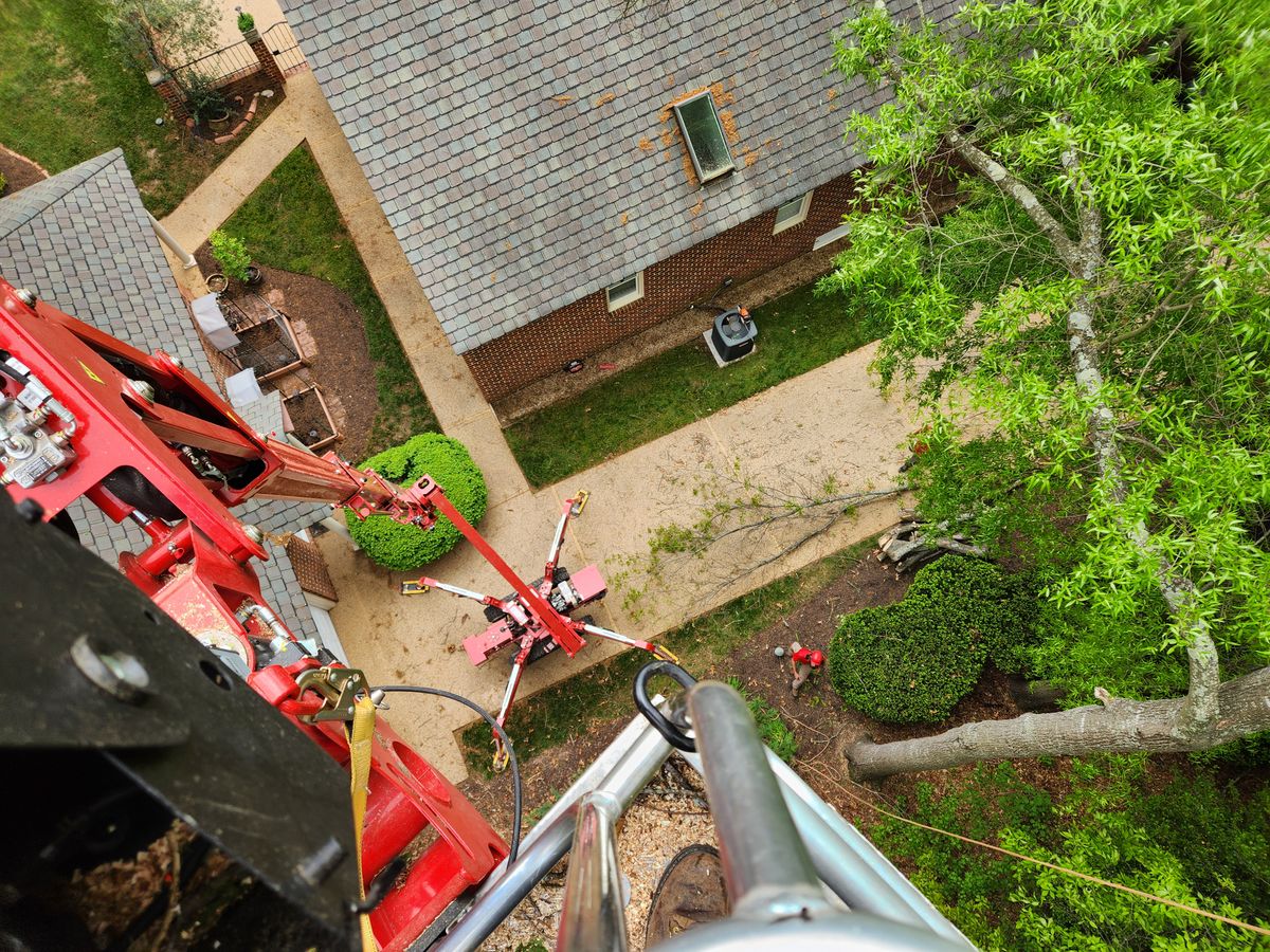 Emergency services and Storm Damage for Smith Tree Experts in Palmyra, VA