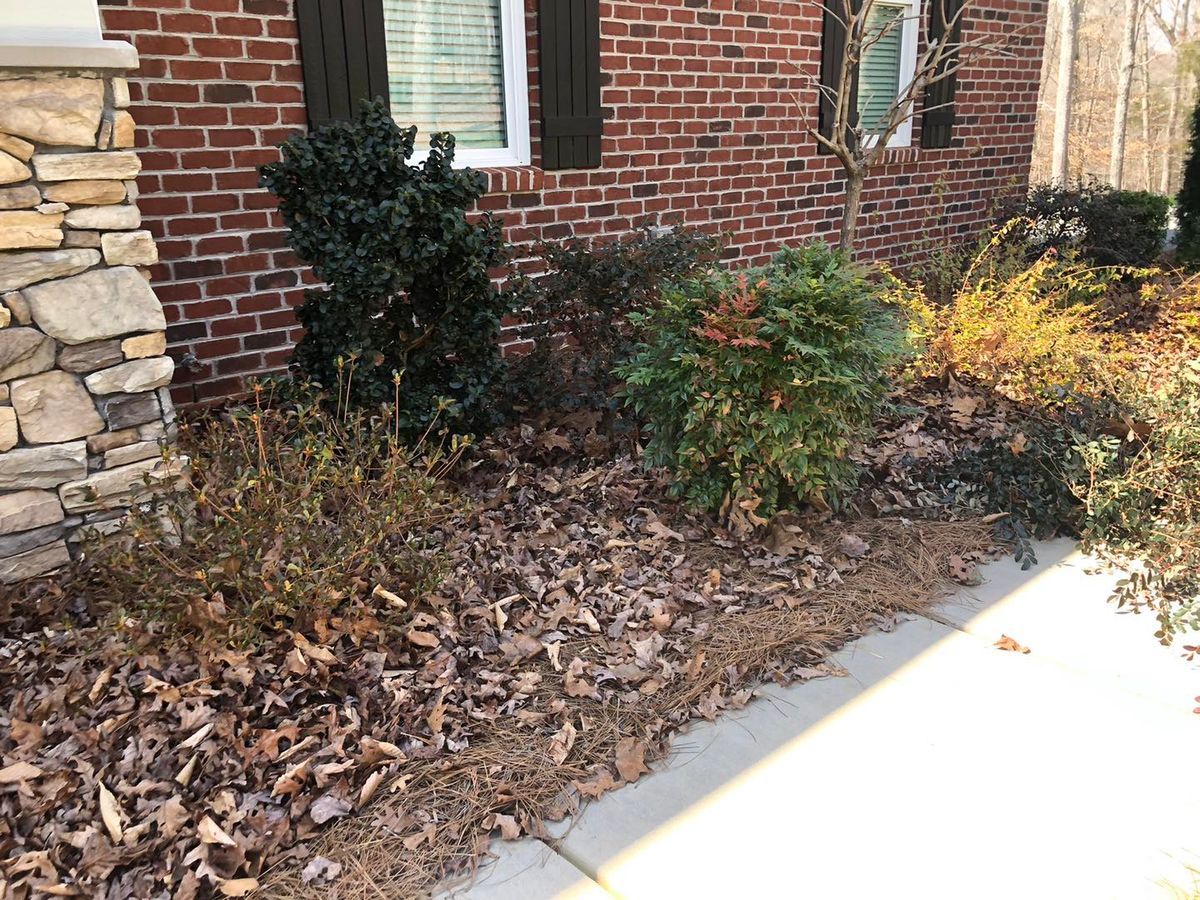 Fall Clean Up for El Perico Tree Service and Lawn Care, LLC in Boonville, North Carolina