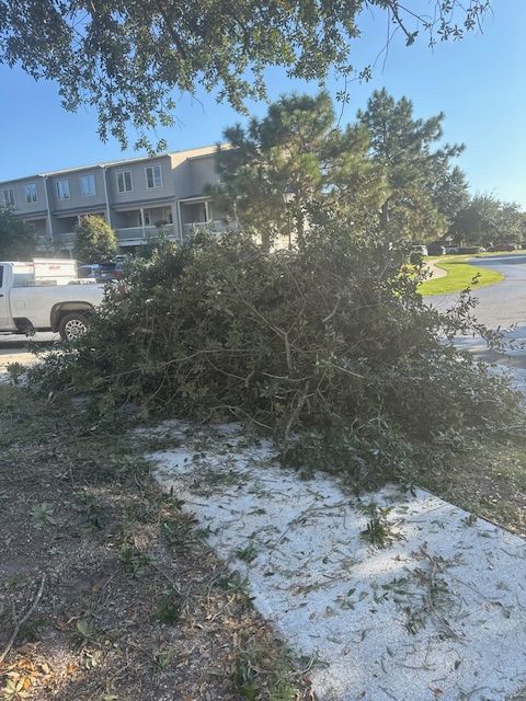 Tree Removal for Hawkins Tree Service & Land Management in Richmond Hill, GA