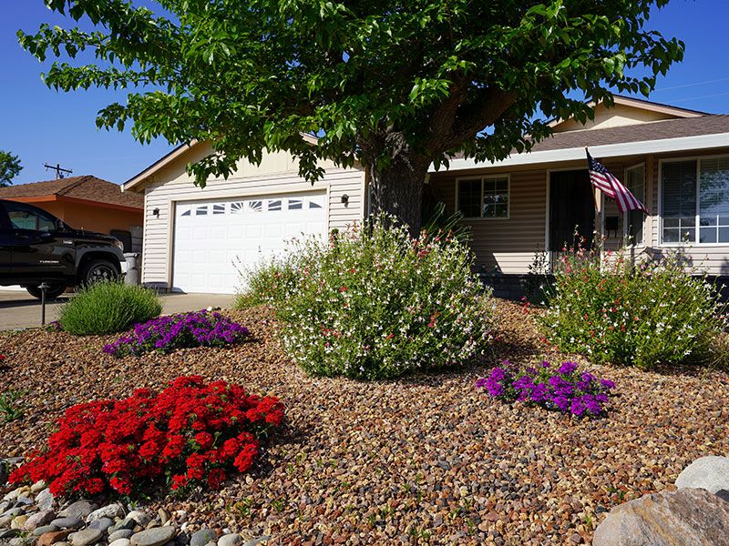 Drought Tolerant Landscapes / Xeriscapes for Blue Water Landscape Services in El Dorado Hills, CA