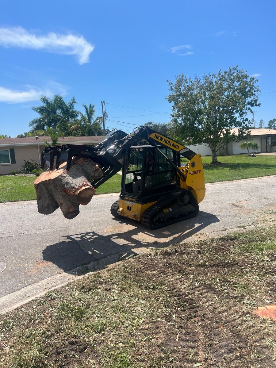 Stump Removal for Adam's Tree and Stump Care in Sarasota, FL