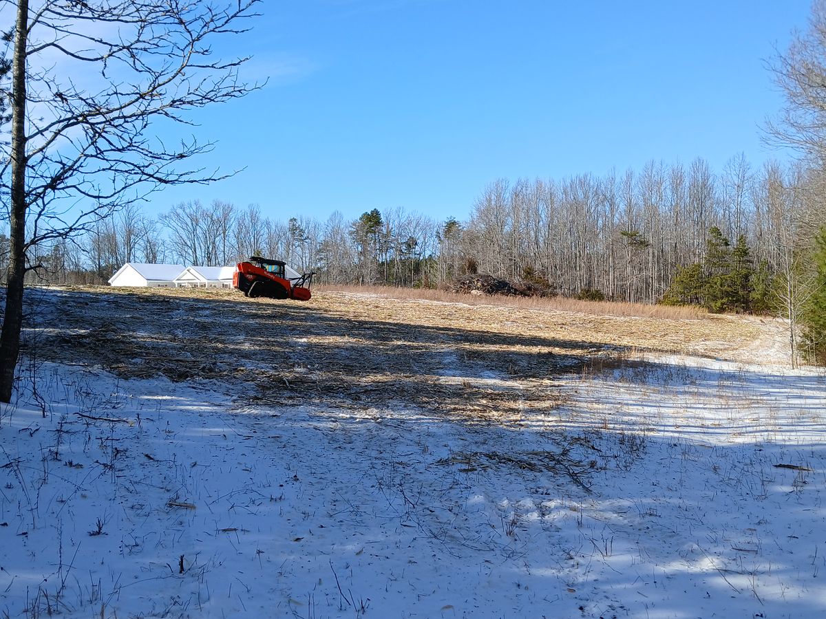 Forestry Mulching for Whiskey Ridge Mulching & Land Services in South Boston, VA