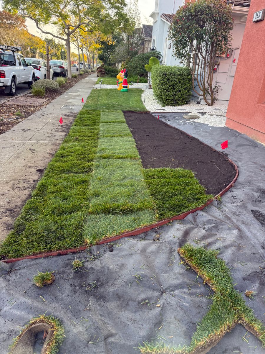 Mulch Installation for CBA Landscaping in Hayward, CA