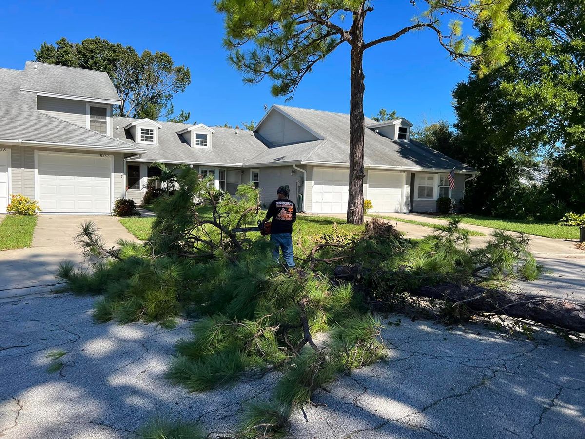 Tree Services for Cunningham's Lawn & Landscaping LLC in Daytona Beach, Florida