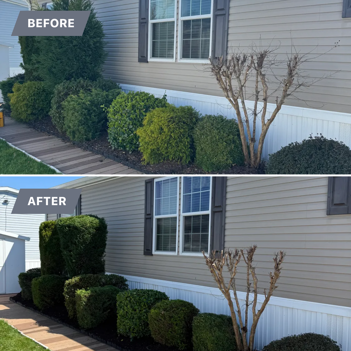 Tree & Shrub Care for Joe’s Landscape And Design LLC in Egg Harbor Township, NJ