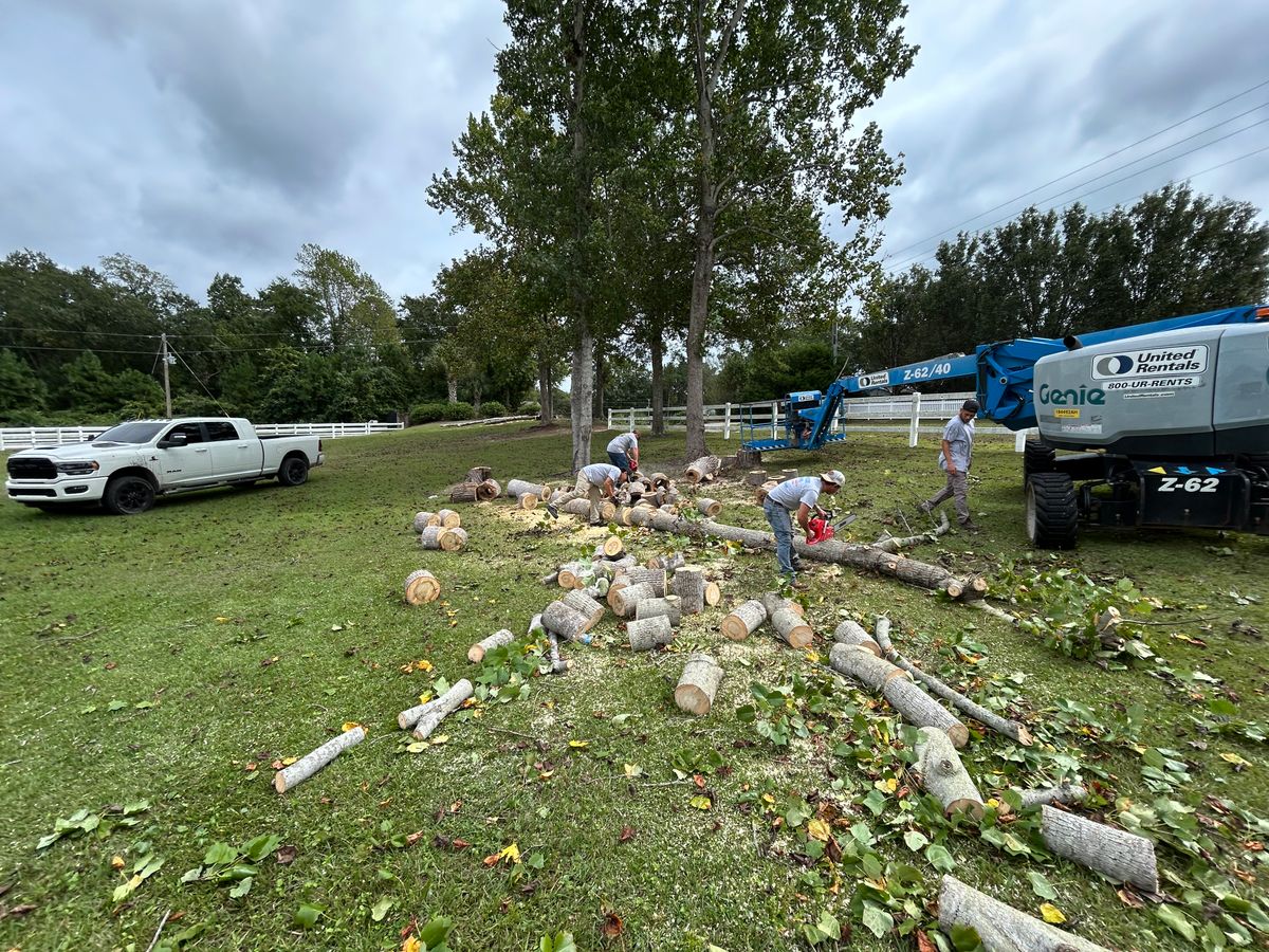 Forestry Mulching/Bush Hogging for Top Notch Landscape in Sneads Ferry, NC