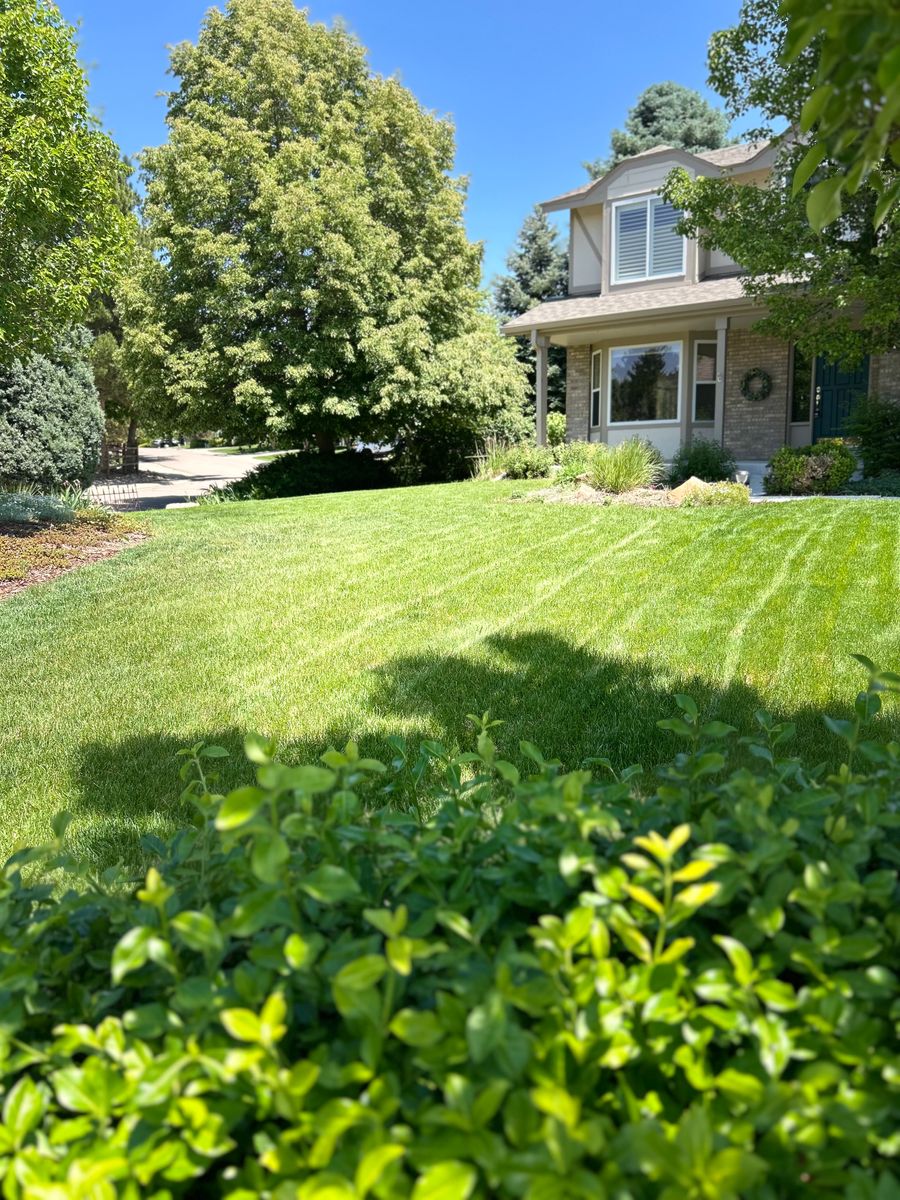 Mowing, Edging & Trimming for Denver Bros Lawn Control in Denver, CO