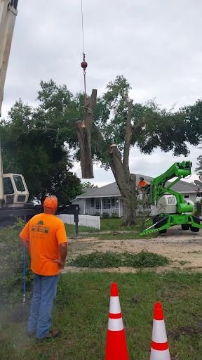 Tree Removal for Daniel Hickey’s Tree Service in DeLand, FL