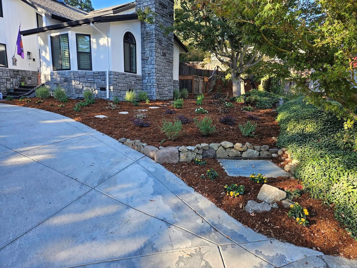 Horticultural Design for Martin Stanko Landscape Construction in Livermore, CA