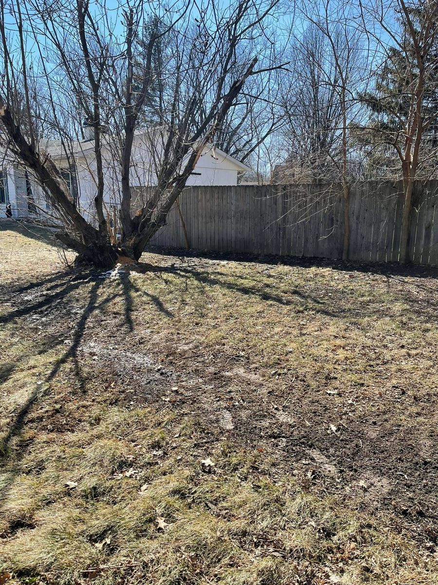 Fall and Spring Clean Up for Henry's Lawn Care in Rockford, IL