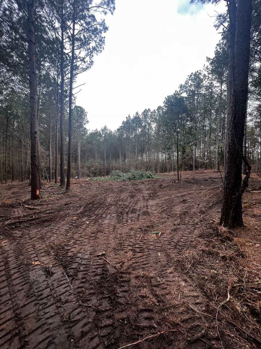 Land Clearing for Arnold Construction in Magnolia, TX