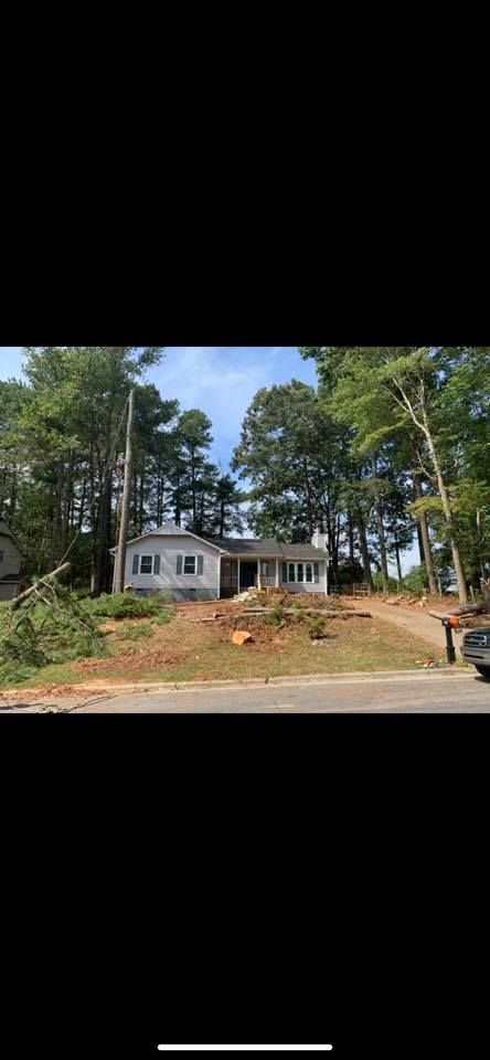 Stump Removal for AB Tree Service in Raleigh, NC