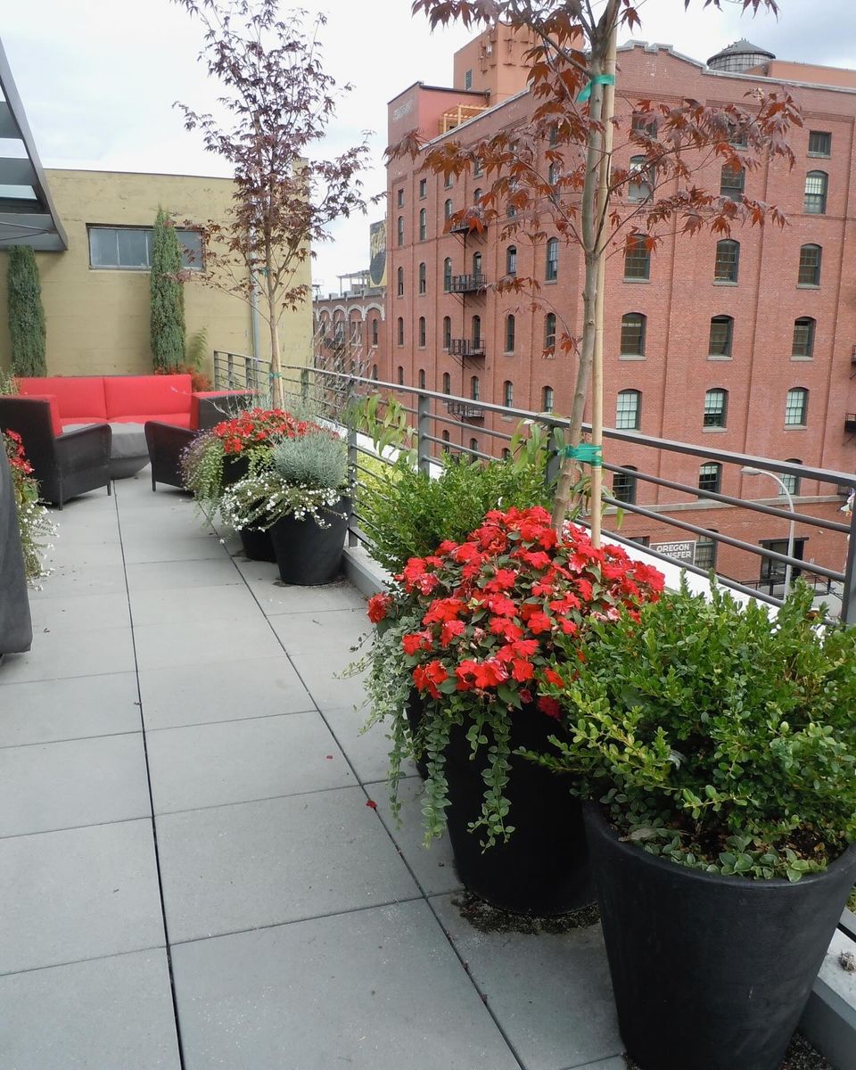 Horticulture Consultation for Courtney Lewis Landscape Design in Portland, OR