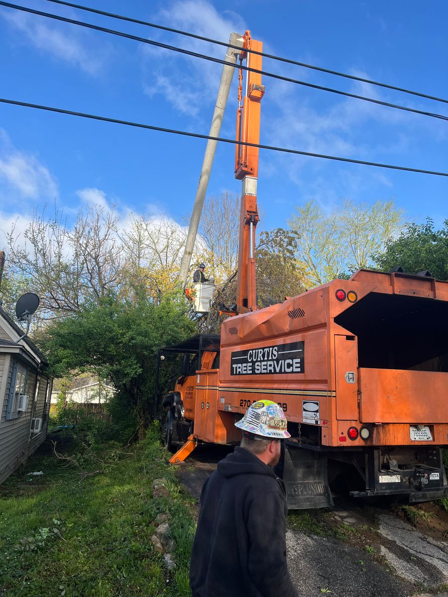 Tree Trimming for Curtis Tree Service LLC in Hopkins County, KY