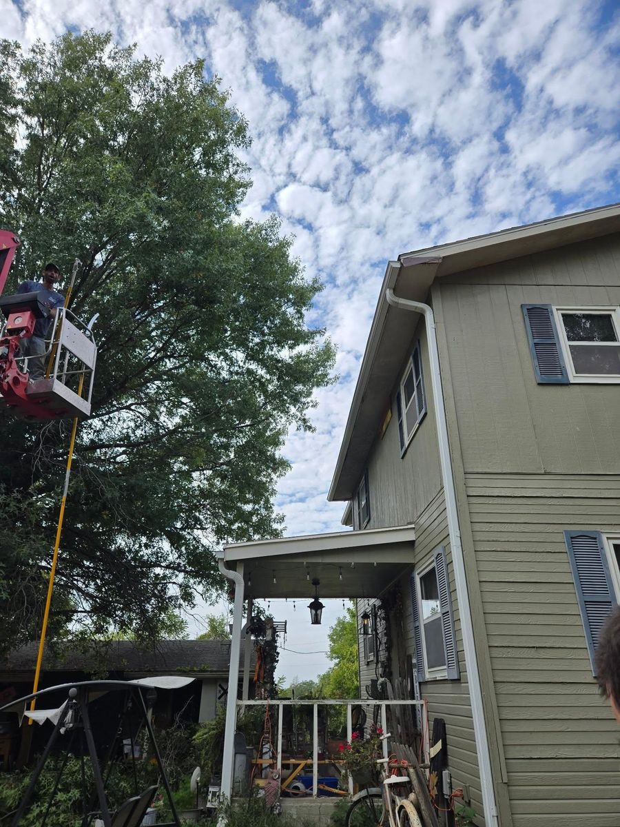 Tree Removal for Lawn Ranger Yard And Tree Service LLC in Ottumwa, IA