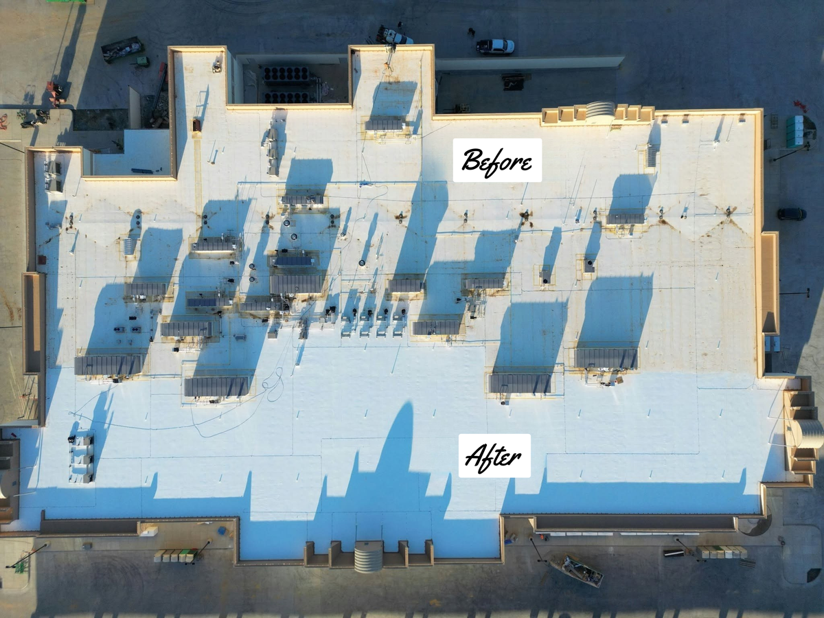 Roof Cleaning for Perfect Pro Wash in Oxford, AL