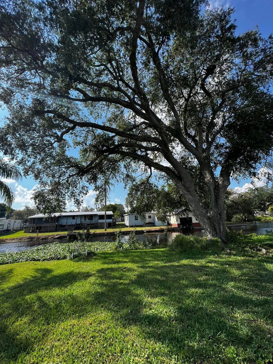 Shrub Trimming for Outdoor Solutions Of The Glades in Broward County,,  FL