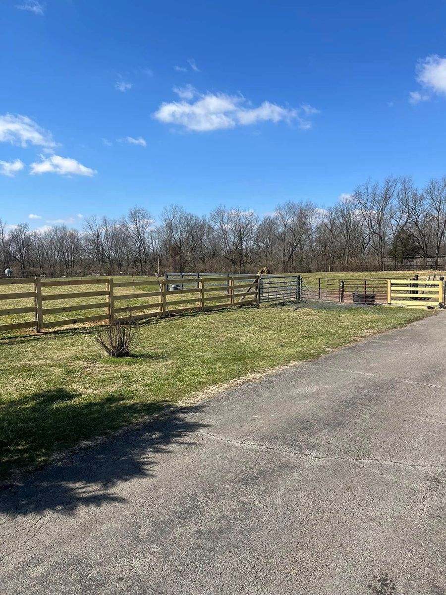 Tree Trimming & Removal for Dream Builder Contracting in Danville, KY