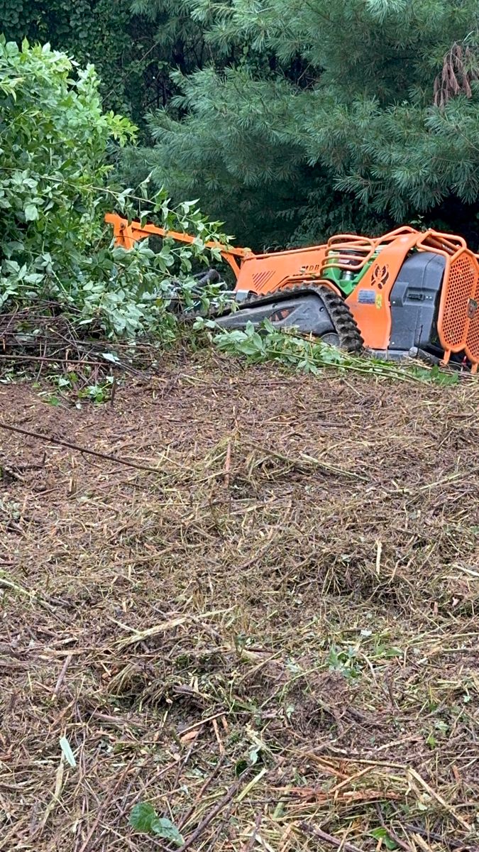 Steep Slope Mowing for Mountain Goat Land Management in Galax, VA