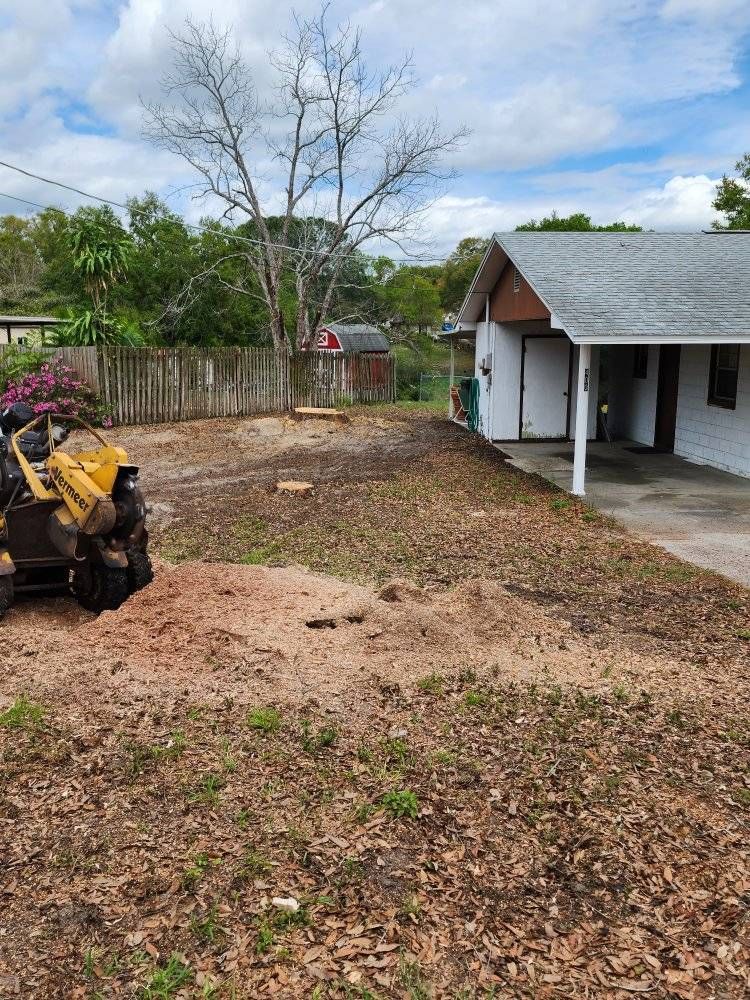 Land Clearing for Heverly Land Solutions in Winter Haven, FL