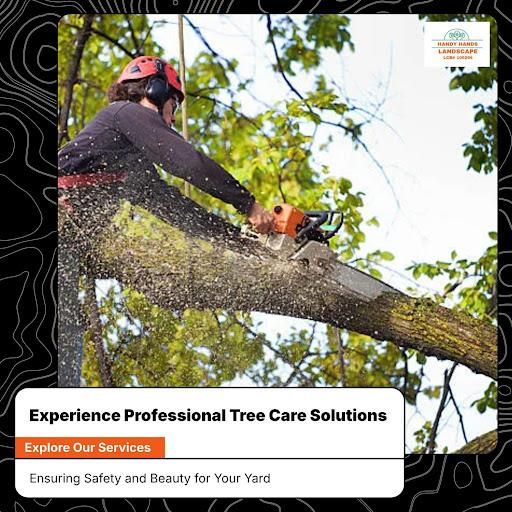Tree Services for Handy Hands Landscape in Corvallis, OR