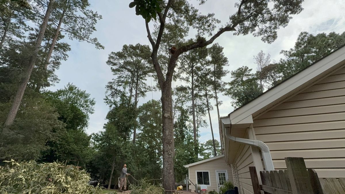 Tree Trimming for T N L - Tree and Land Service in Reynolds, GA