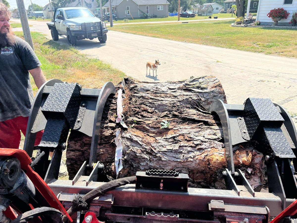 Stump Grinding for Baker Professional Services LLC in Shelbina, MO