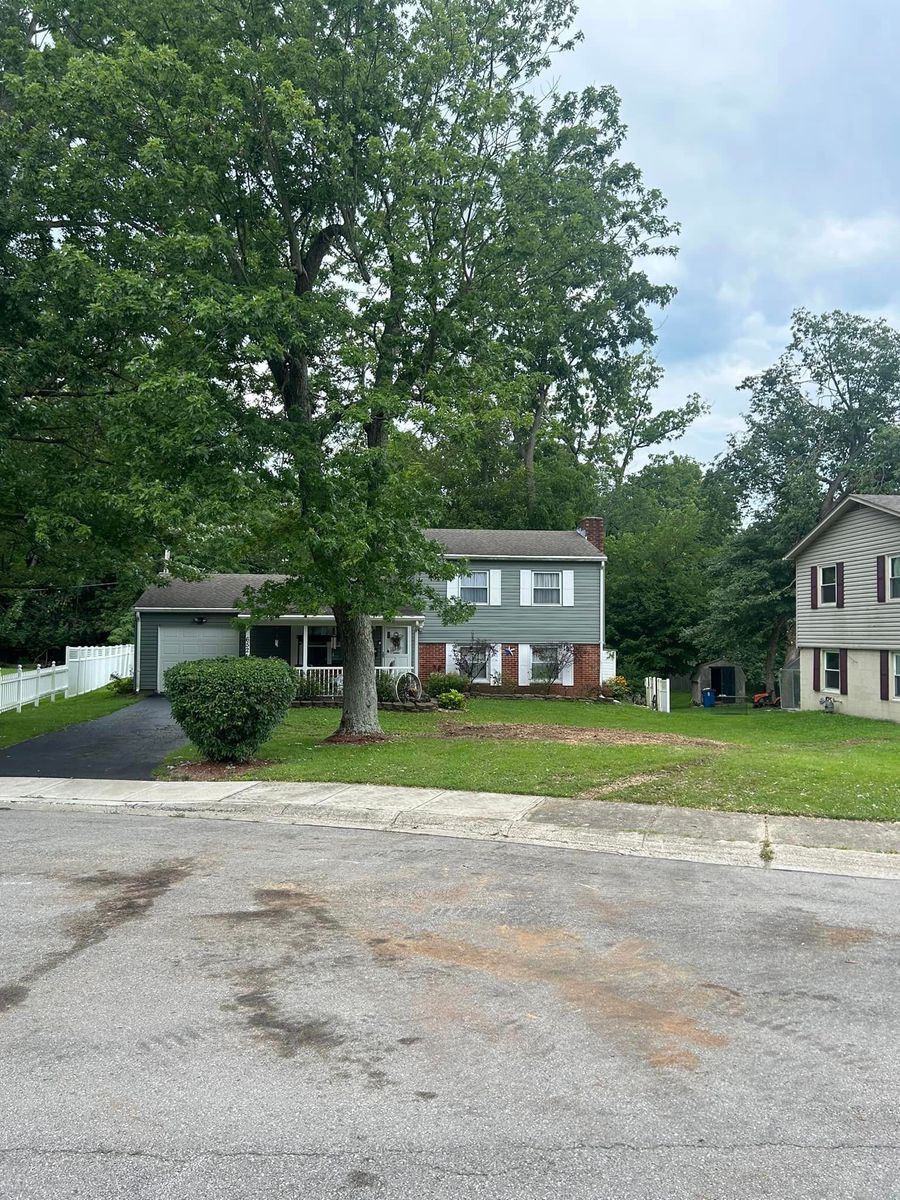 Shrub Trimming for Dig-It Tree Company in , 