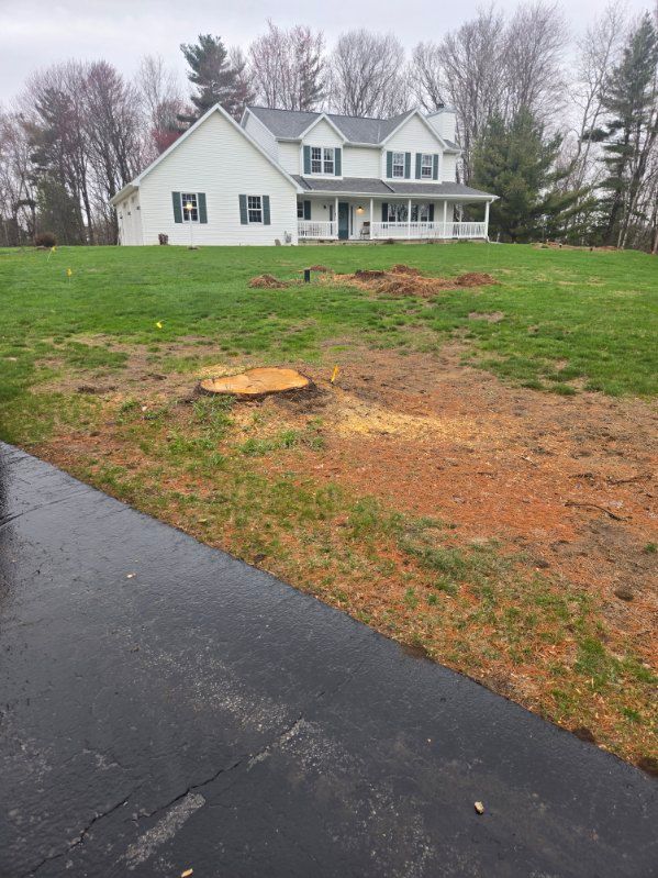 Stump Grinding and Removal for Wilcox Landworks in Pulaski, WI