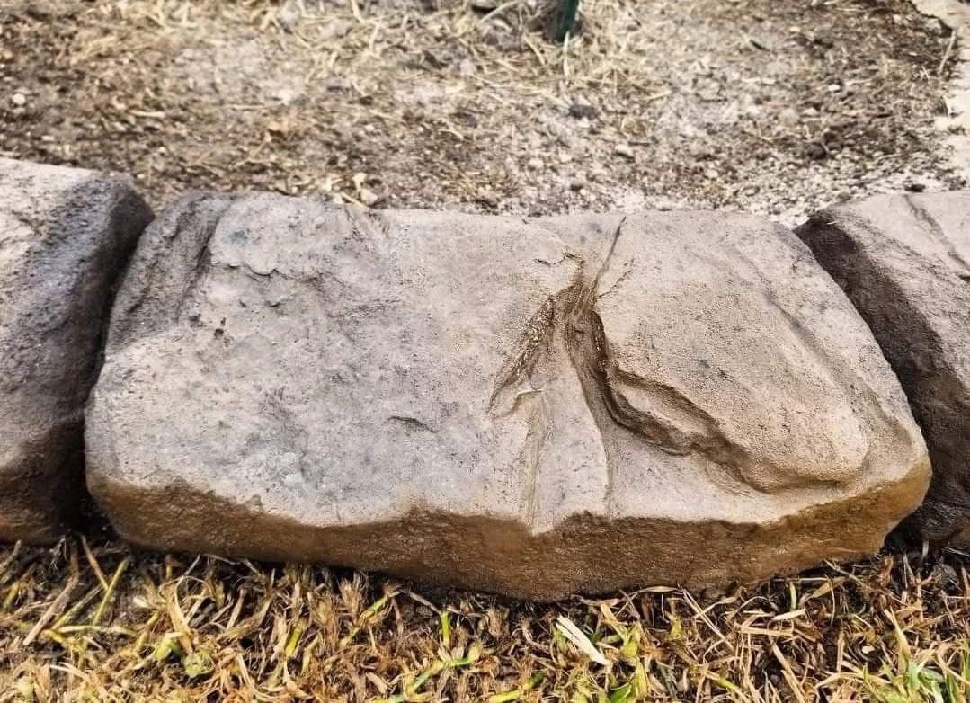 Landscaping for Texas Curb N Borders in Houston, TX