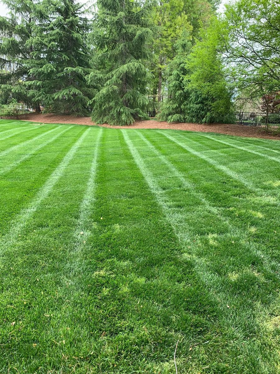 Mowing for Zotelo’s Lawncare LLC in Winston-Salem, NC