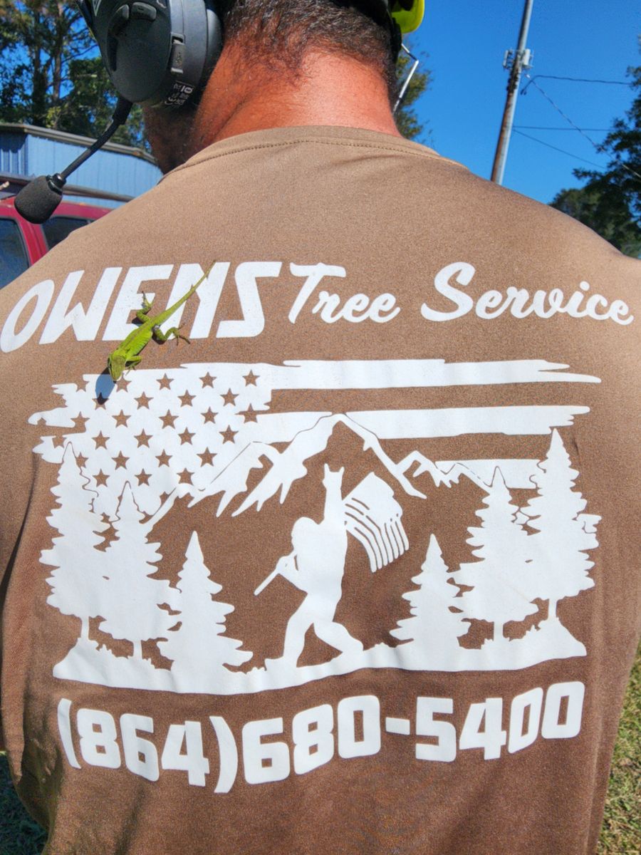 Fall Clean Up for Owens Tree Services in Inman, SC
