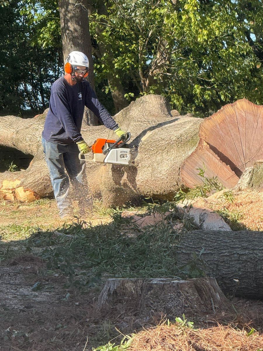 Tree Trimming for Brooks Tree Service, LLC in Casar, NC