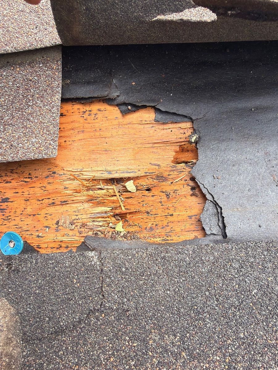 Causation and Damage Expert Reports for Catastrophe Loss Consultants in Fort Worth, TX