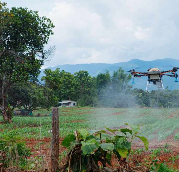 Fertilization for Turf Titan in Lake City, FL