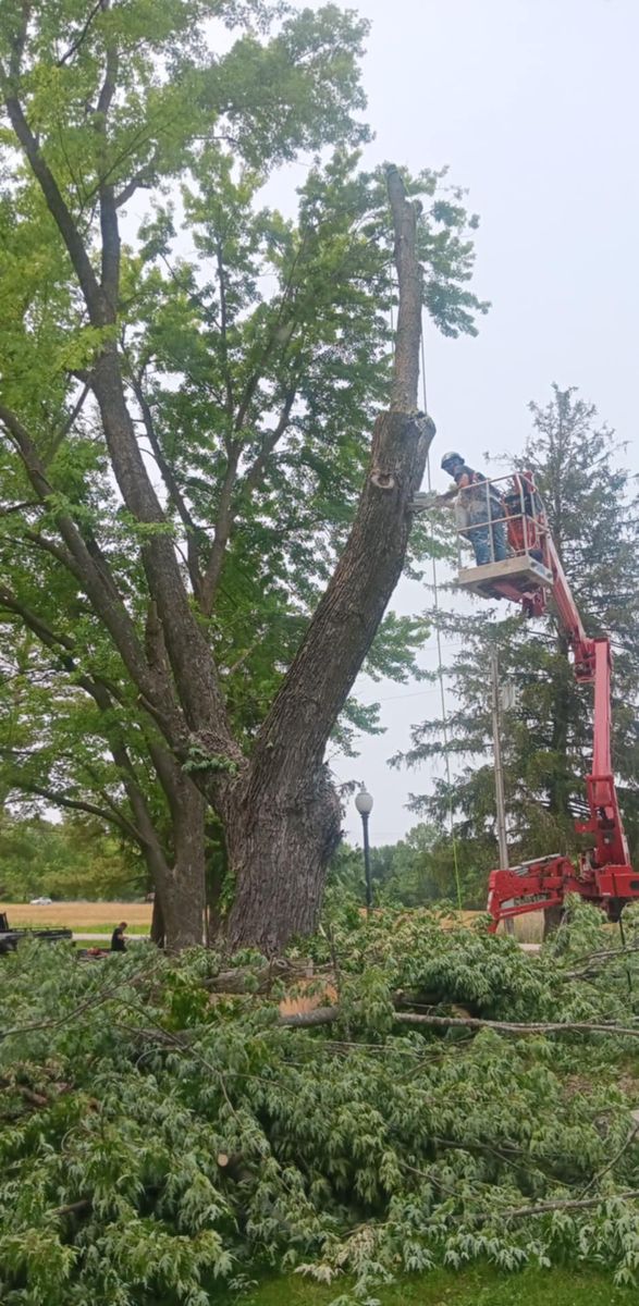 Tree Trimming for Lawn Ranger Yard And Tree Service LLC in Ottumwa, IA
