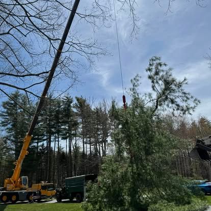 Tree Work for Baboosic Tree & Landscape in Merrimack, NH