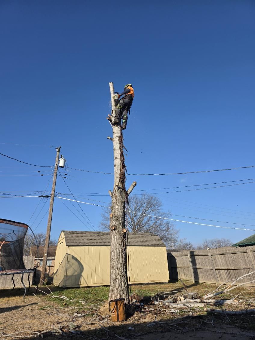 Tree Removal for Oklahoma Tree Guy in Bartlesville, OK