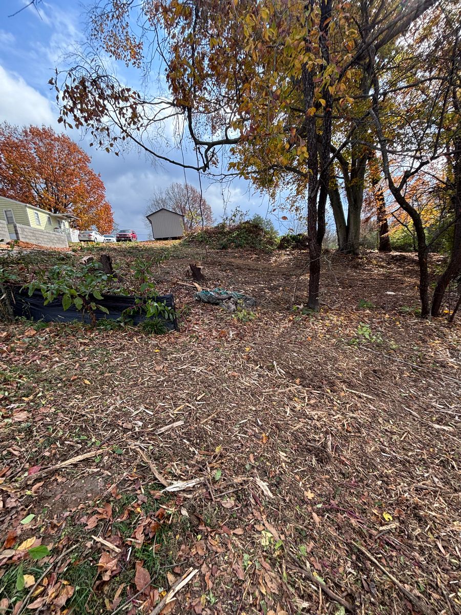 Landscaping for Everything Outdoors in Abingdon, VA