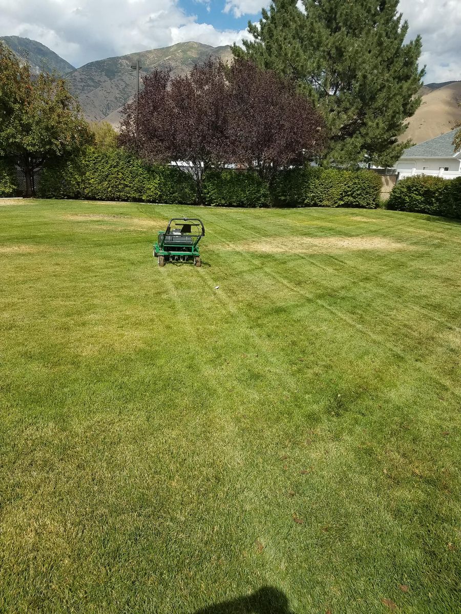Aeration for Platinum Lawn Service in Santaquin, UT